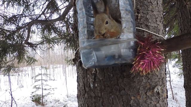 "В ожидании меня." смотреть онлайн