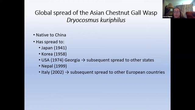 Chestnut Chat: Emerging and Evolving Threats to Chestnut Health смотреть онлайн