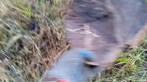 Металлопоиск. металлокоп.