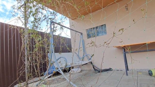 ✅️ В теплице кто то завёлся и ест помидоры 🍅 😪/ Убралась в бане/ смотреть онлайн