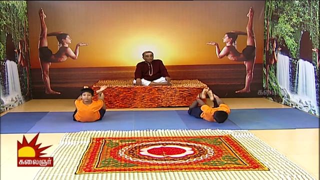 Vidiyale Vaa | Nalamudan Vaazha | Epi 593 | 11/08/2015 смотреть онлайн