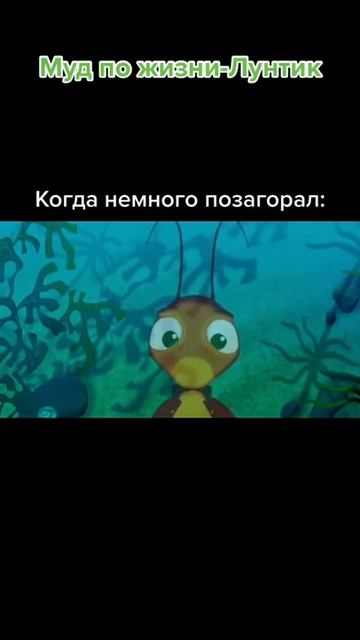 МУД ПО ЖИЗНИ - ЛУНТИК 😂 ПРИКОЛЫ ТИК ТОК - МЕМЫ ТИК ТОК - УГАР ТИК ТОК 😅 смотреть онлайн