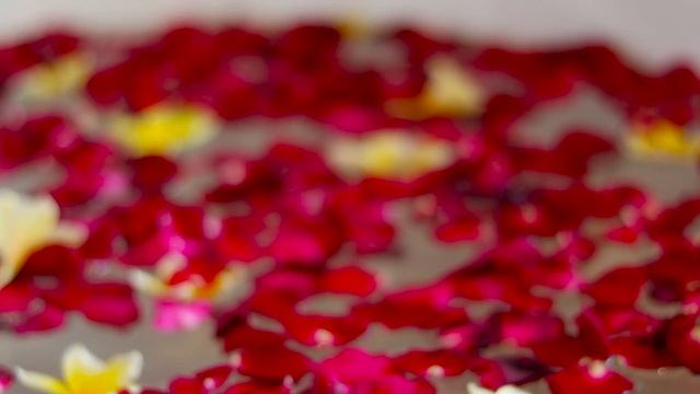 Jannata Resort & Spa Ubud Bali