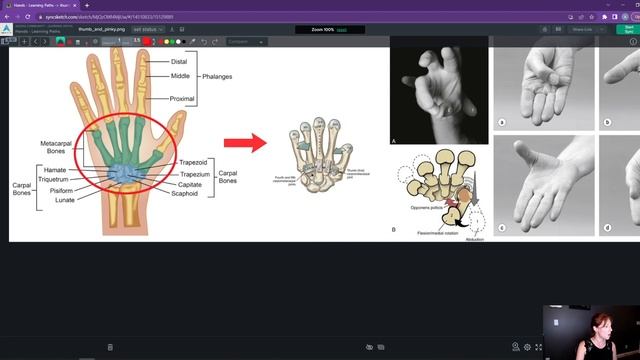 Agora.community - 02 - Anatomy & Range of Motion смотреть онлайн