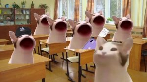 Мама меня отправила кормить курей