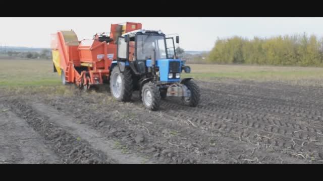 РАБОТА КАРТОФЕЛЕУБОРОЧНОГО КОМБАЙНА GRIMME смотреть онлайн