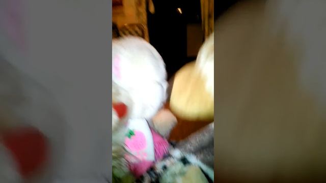 прикол две сестры сходят с ума)))) смотреть онлайн