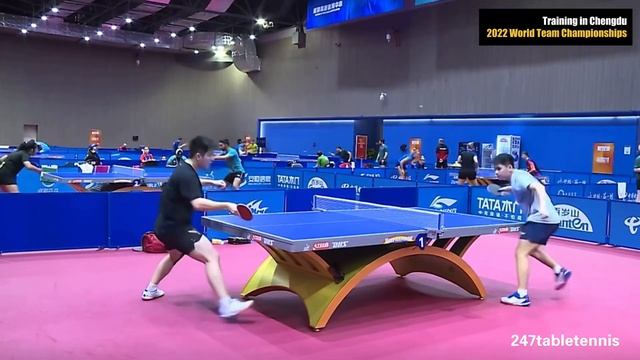 Fan Zhendong & Lin Shidong Training In Chengdu 8 | 2022 World Team Championships
