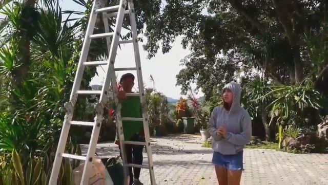 The Garden at Soul Sierra || VLOG #3 | Wenabel Boysillo смотреть онлайн