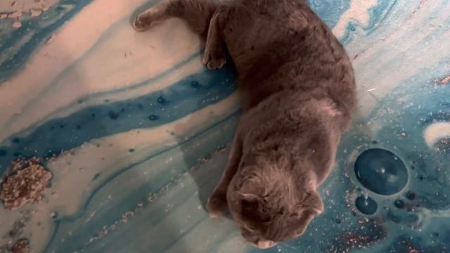 🔴🌝🐈⬛ Смоки 🔴Обзор смотреть онлайн