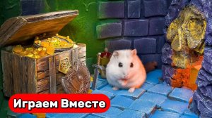 Лабиринт для ХОМЯКА ! Выбираемся вместе из пещеры с сокровищами и ЛОВУШКАМИ ! Видео для детей