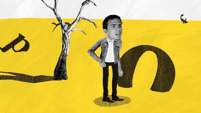 What Is Literature For?