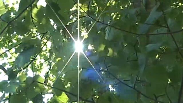 листва и солнце смотреть онлайн