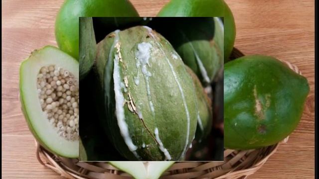 ఇష్టం లేని గర్భం తొలగించడం ఎలా ? #papaya works to get termination ?#pregnancy #drdorababu #abortio смотреть онлайн