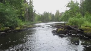 Природа Карелии! Красивые виды! Шикарные места! Чистая вода! Дикий край! Лето в Карелии!