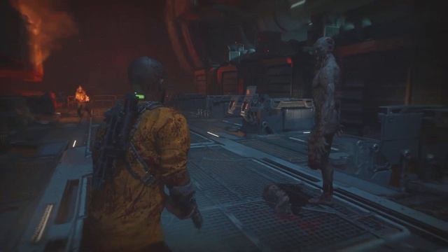 The Calypso Protocol смотреть онлайн