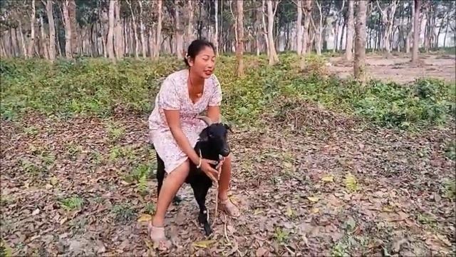 sitting goat village girl riding 😍 смотреть онлайн