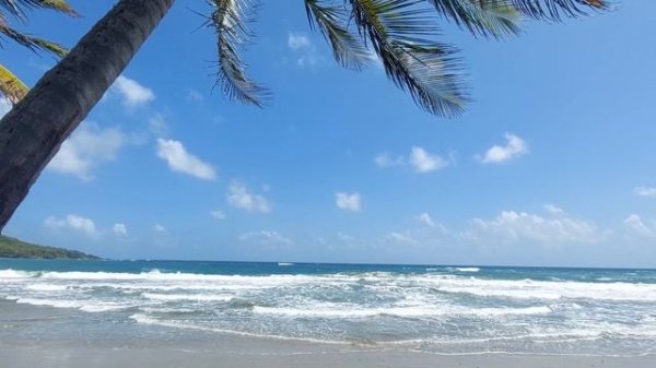 Tobago Beach
