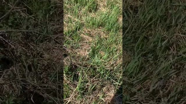 Искусство-Создателя