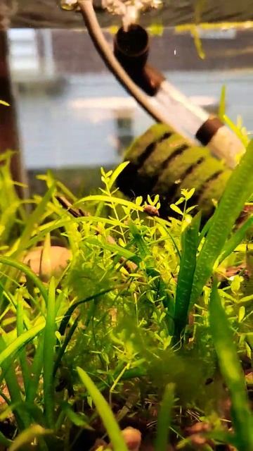 December 14, 2022 смотреть онлайн