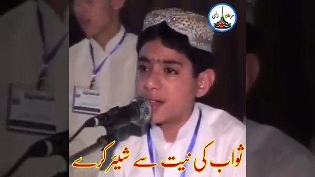 decoria Ashraf смотреть онлайн