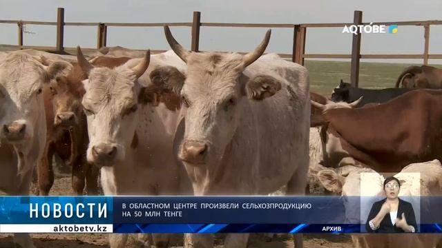 В областном центре произвели сельхозпродукцию на 50 млн тенге смотреть онлайн