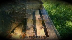 Пчелы и мед. Матки от Георгия Никуткина и Романа Лобкова.