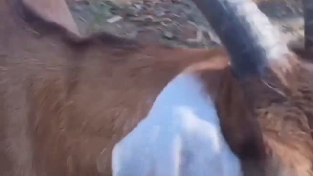 Taghleef Industries | Origin of Coffee смотреть онлайн