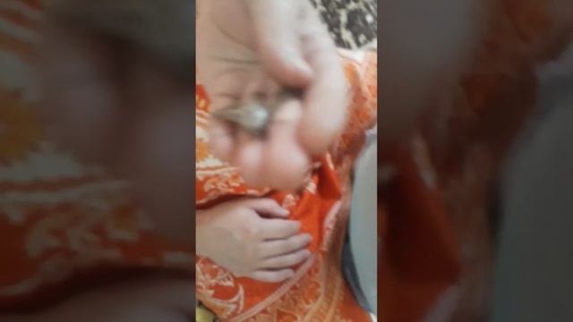 Kalibri qush смотреть онлайн
