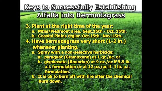 Why Interseed Alfalfa into Bermudagrass? смотреть онлайн