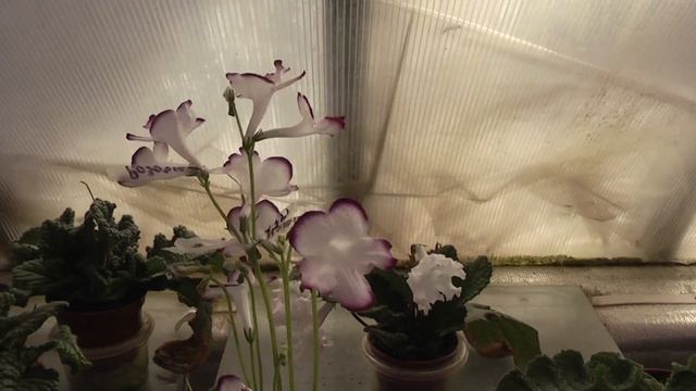 00027 смотреть онлайн