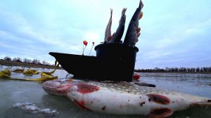 ТРЕТИЙ ПЕРВЫЙ ЛЁД! ЩУЧИЙ ГЕН, УЛОВ НА УЖИН, ТАЙНОЕ ОЗЕРО/СБЫЛАСЬ МЕЧТА - РЫБАЛКА В ПАЛАТКЕ СО ЛЬДА!