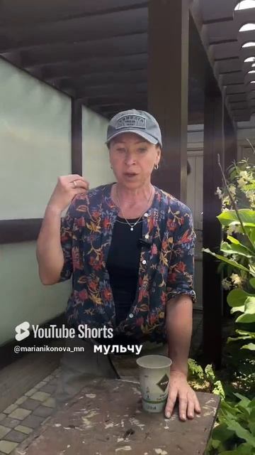 ОБНОВИТЬ МУЛЬЧУ смотреть онлайн