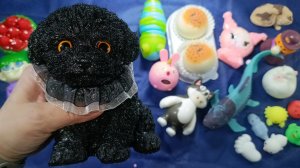 АСМР СКВИШИ ✨ ТАБА СКВИШИ лапки и другие антистрессы распаковка АСМР сквишей ❤️