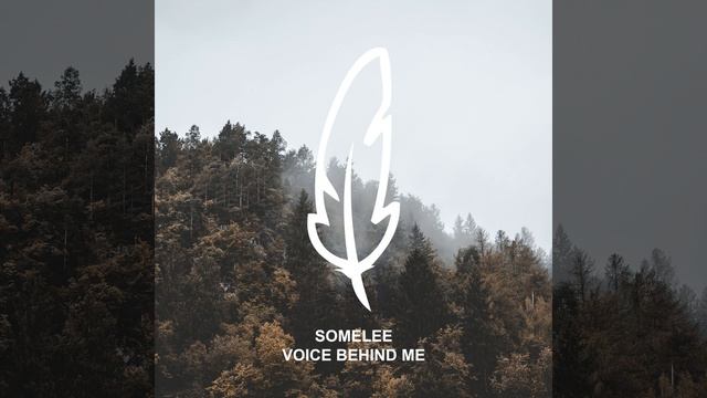 Voice Behind Me смотреть онлайн