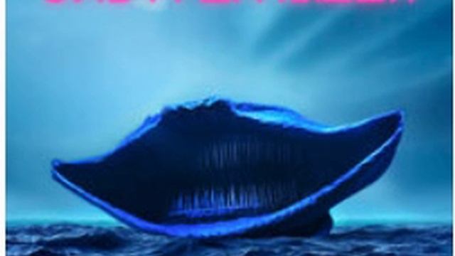 Видео-20-02-2025 16_48_31