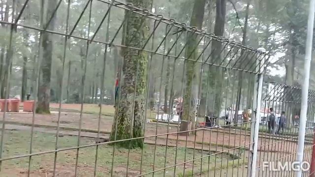 gadis indow sayori kab. Gowa di malino смотреть онлайн