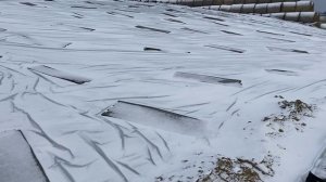 Защита плёнки силосной в силосных траншеях, зачем это надо, наглядный пример