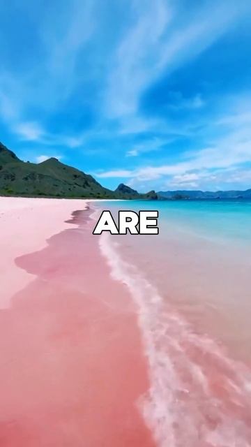 Unbelievable Pink & Green Beaches: Nature's Colorful Surprises! смотреть онлайн