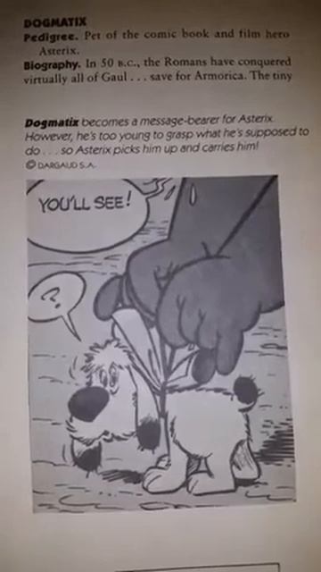 Dogmatix Comic Strip смотреть онлайн