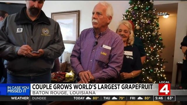 Couple grows world's largest grapefruit смотреть онлайн