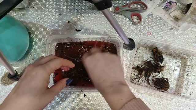 23 февраля 2024 г. смотреть онлайн