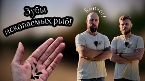 КАК НАЙТИ ОКАМЕНЕЛОСТИ? Охота за зубами акул, костями рептилий и другими сокровищами древнего моря!