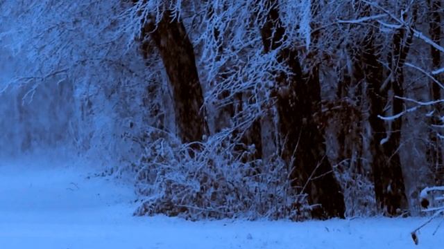 ЗИМА,ЗИМА ,НЕ НАДО ЗЛИТСЯ -сл Игорь Бучельников муз исполняет Игорь Голубев смотреть онлайн