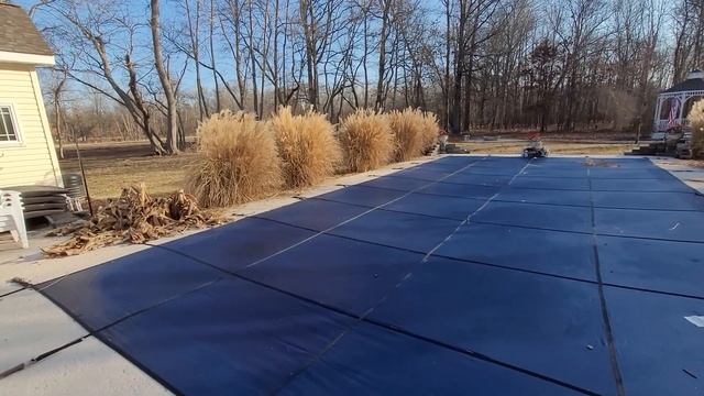 How To Prune Ornamental Maiden Grass: A Step-by-Step Guide for a Beautiful Landscape! 2024 (zone 6b смотреть онлайн