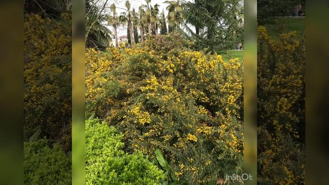 12 апреля 2023 г. смотреть онлайн