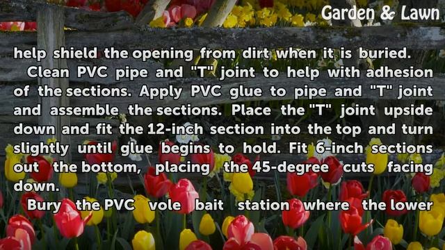 How to Make a PVC Vole Bait Station смотреть онлайн