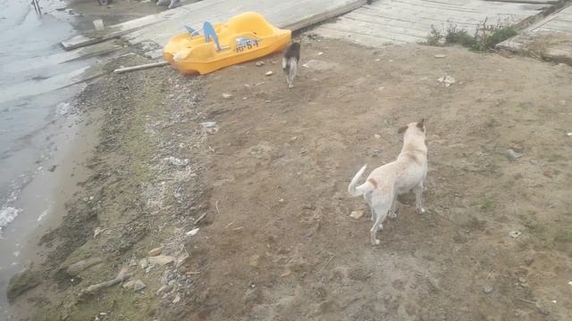 20 сентября 2021 г. смотреть онлайн