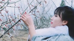 Весна теплая, цветы цветут, пополните жизненные силы тарелкой цветущей сливы и голубиным супом!