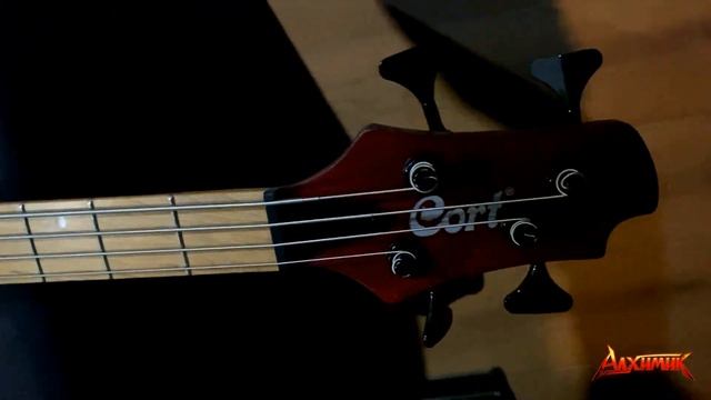 Что купить нового? бас гитара Cort A4 или Cort B4. Обзор и сравнение.#bass, #livemusic